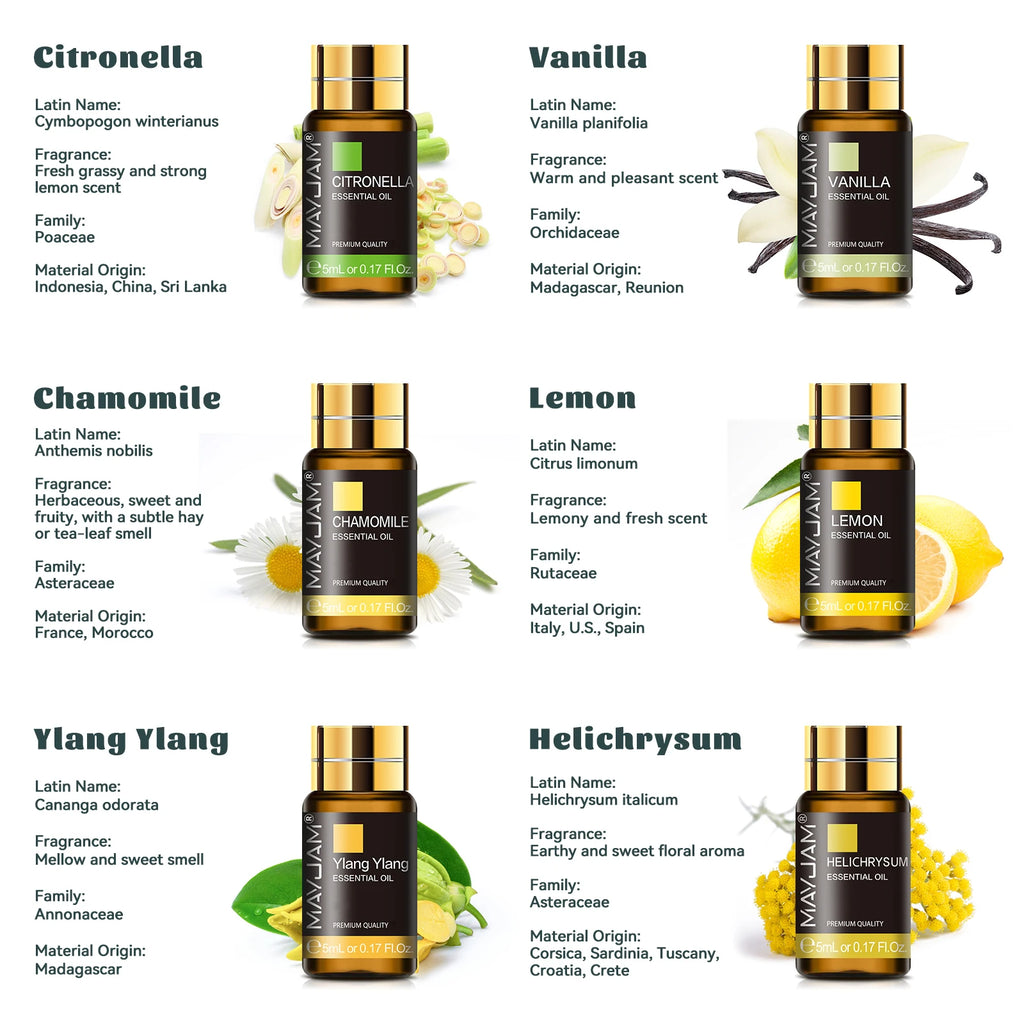 Kit d'huiles essentielles Mayjam, 35 pièces/ensemble, boîte cadeau, lavande, vanille, citron, eucalyptus, pour humidificateur, diffuseur, bricolage, parfums, savons, bougies